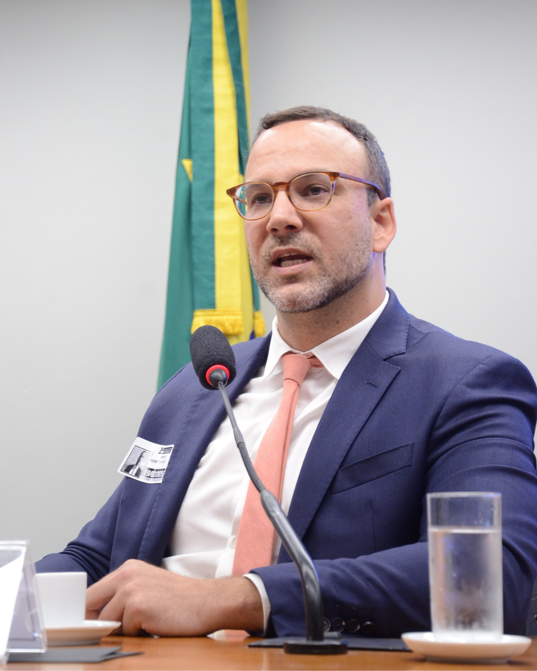 Dr. Pedro Dal Bello em audiência pública